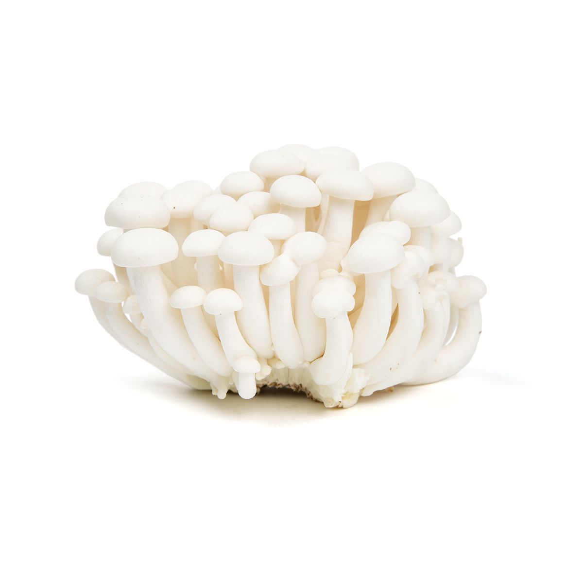 White Hon Shimeji Mushrooms
