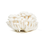 White Hon Shimeji Mushrooms