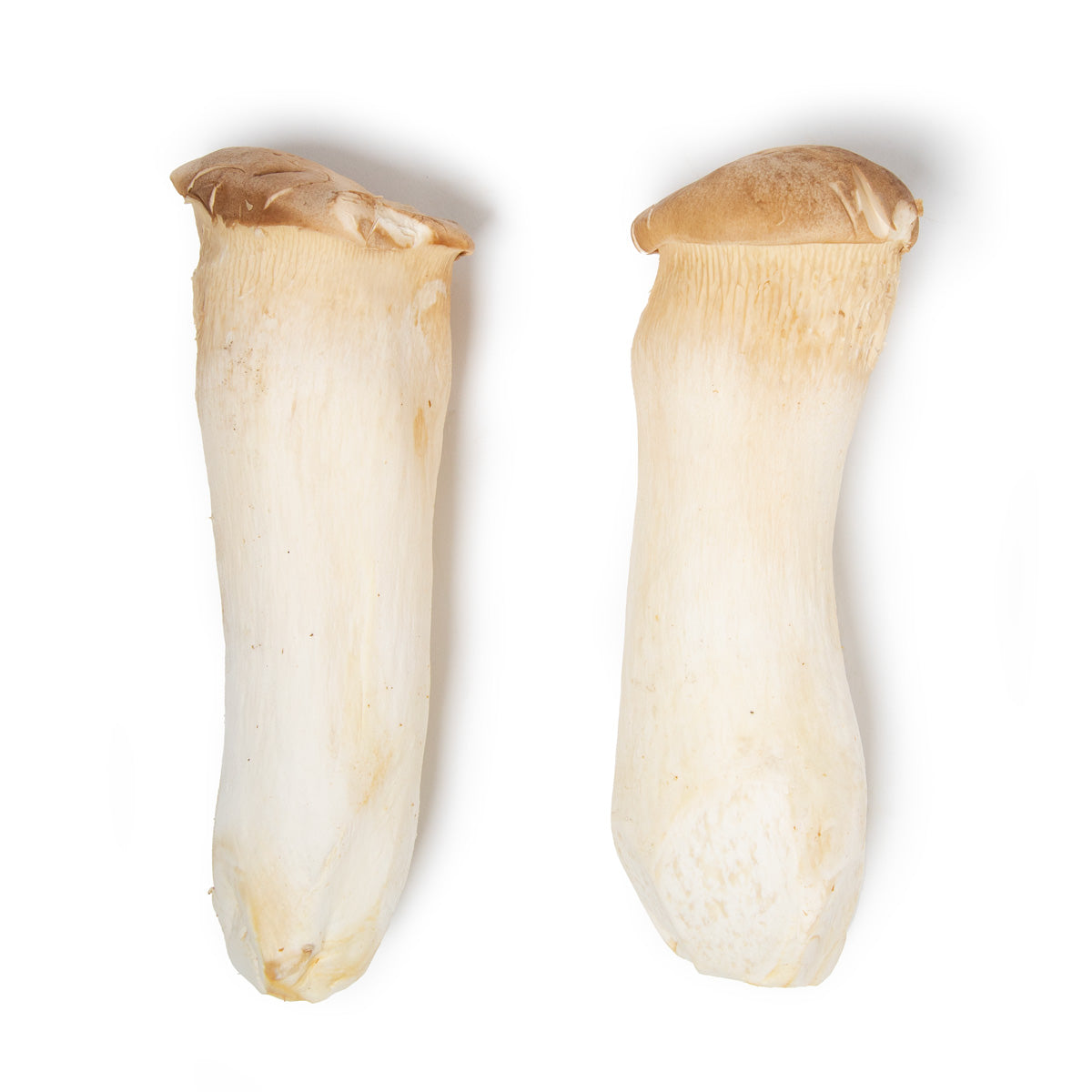 Royal Trumpet Mushrooms