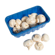 White Mushrooms