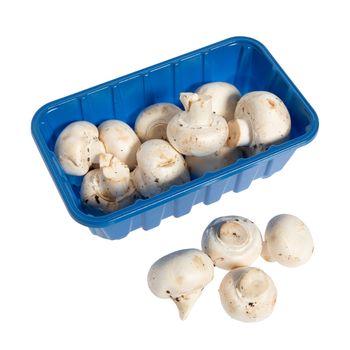 White Mushrooms