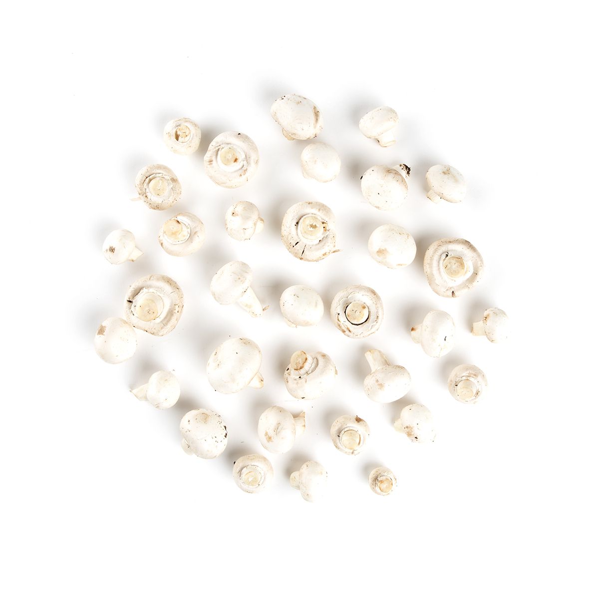 #1 Grade White Medium Mushrooms