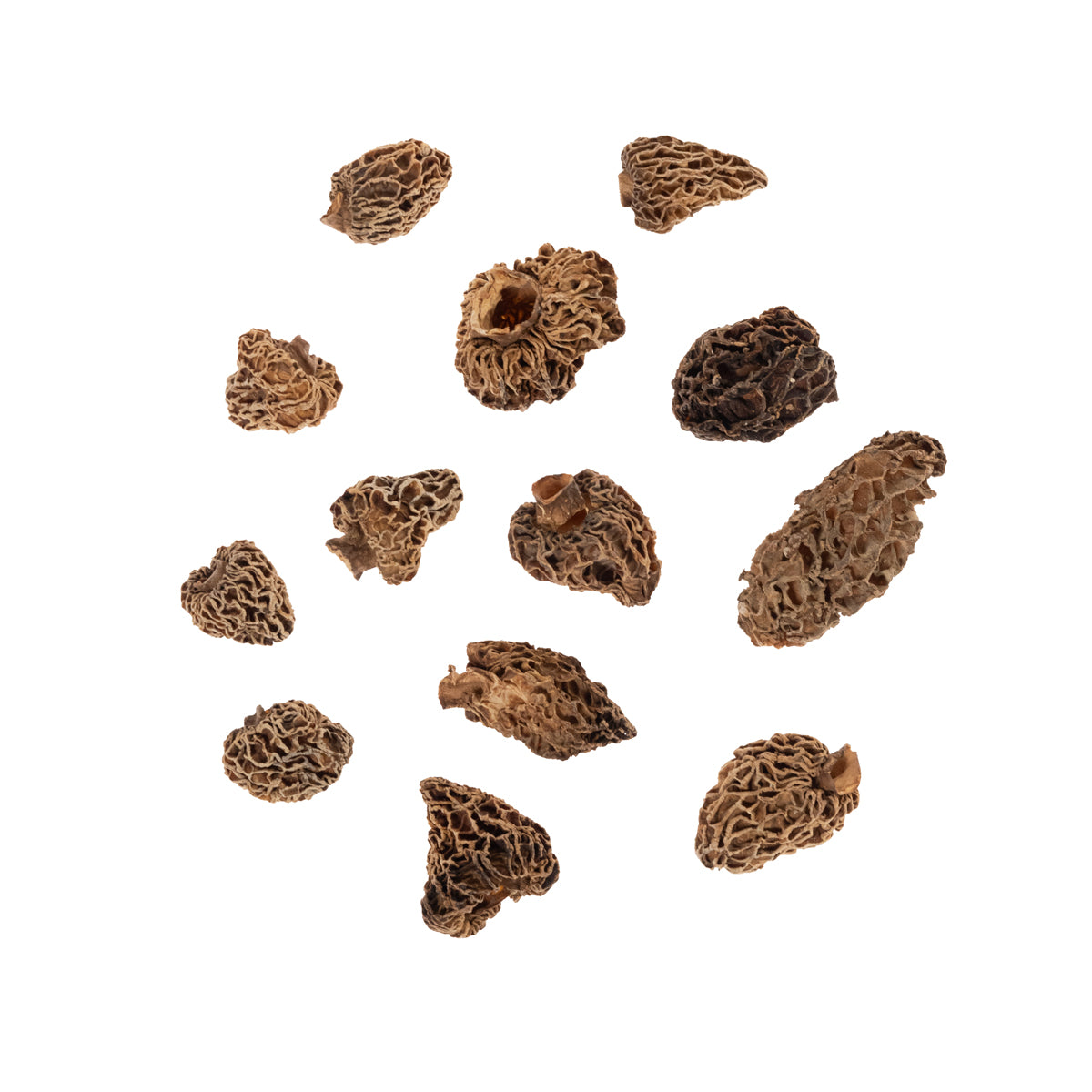 Dried California Morel Mushrooms