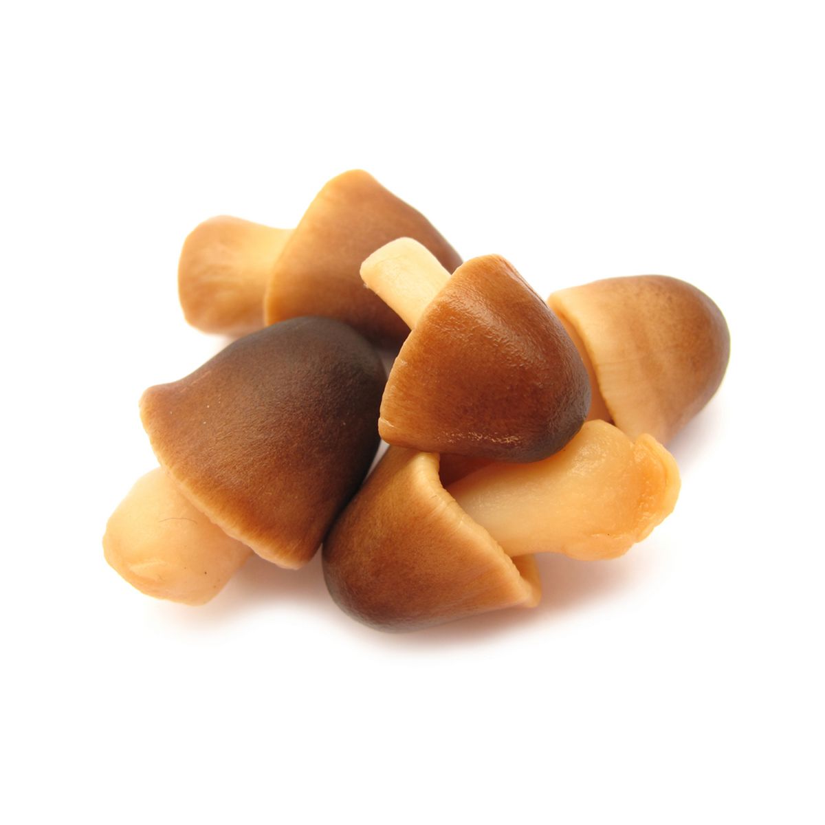 Canned Straw Mushrooms