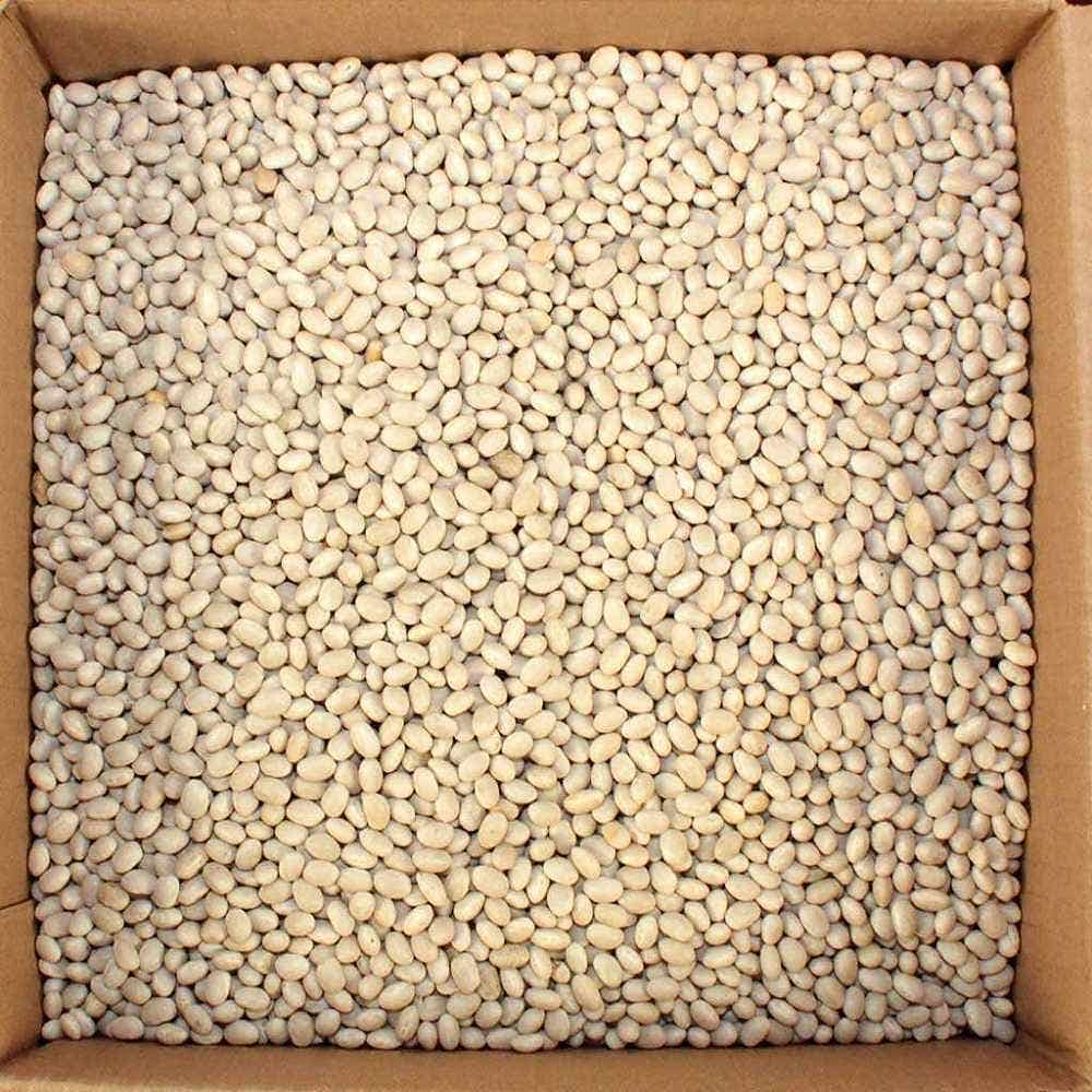 Navy Beans
