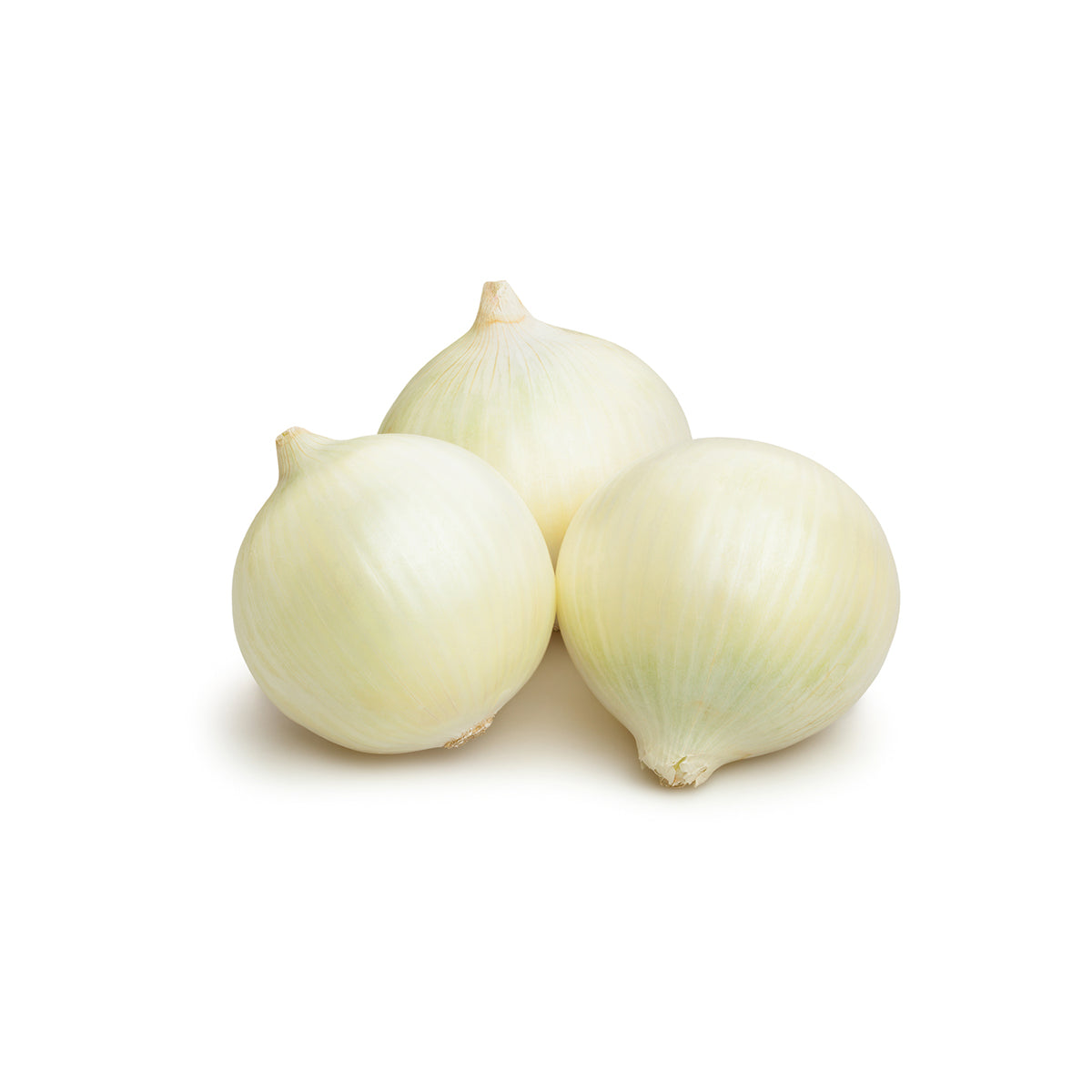 White Pearl Onions