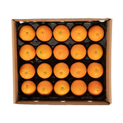 Orange Panta-Pack