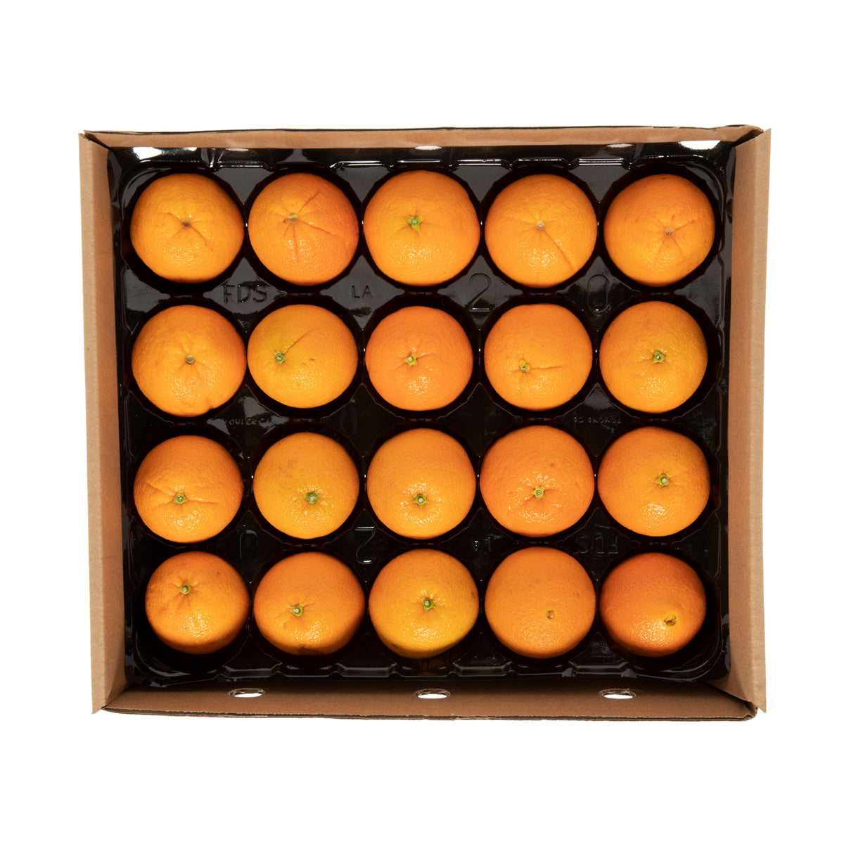 Orange Panta-Pack