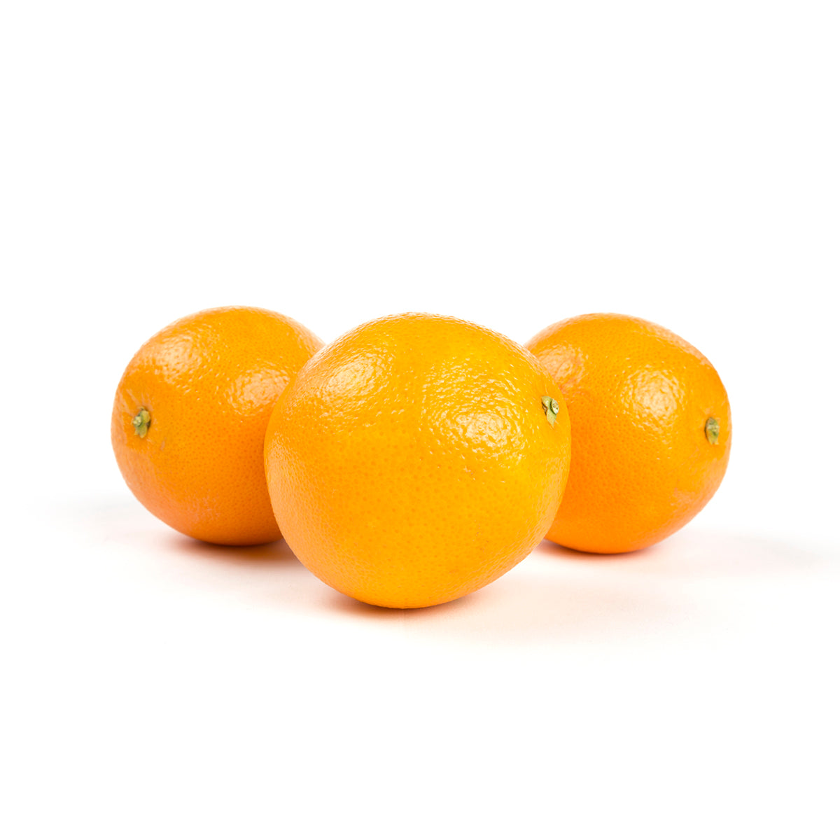 Orange Panta-Pack