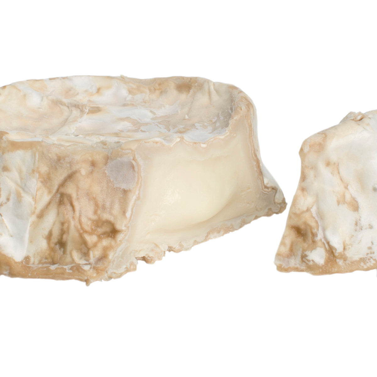 Goat's Milk Camembert Cheese