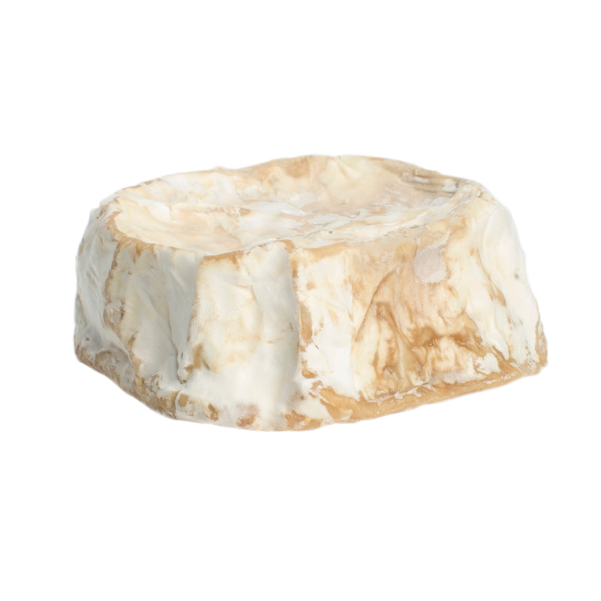 Goat's Milk Camembert Cheese