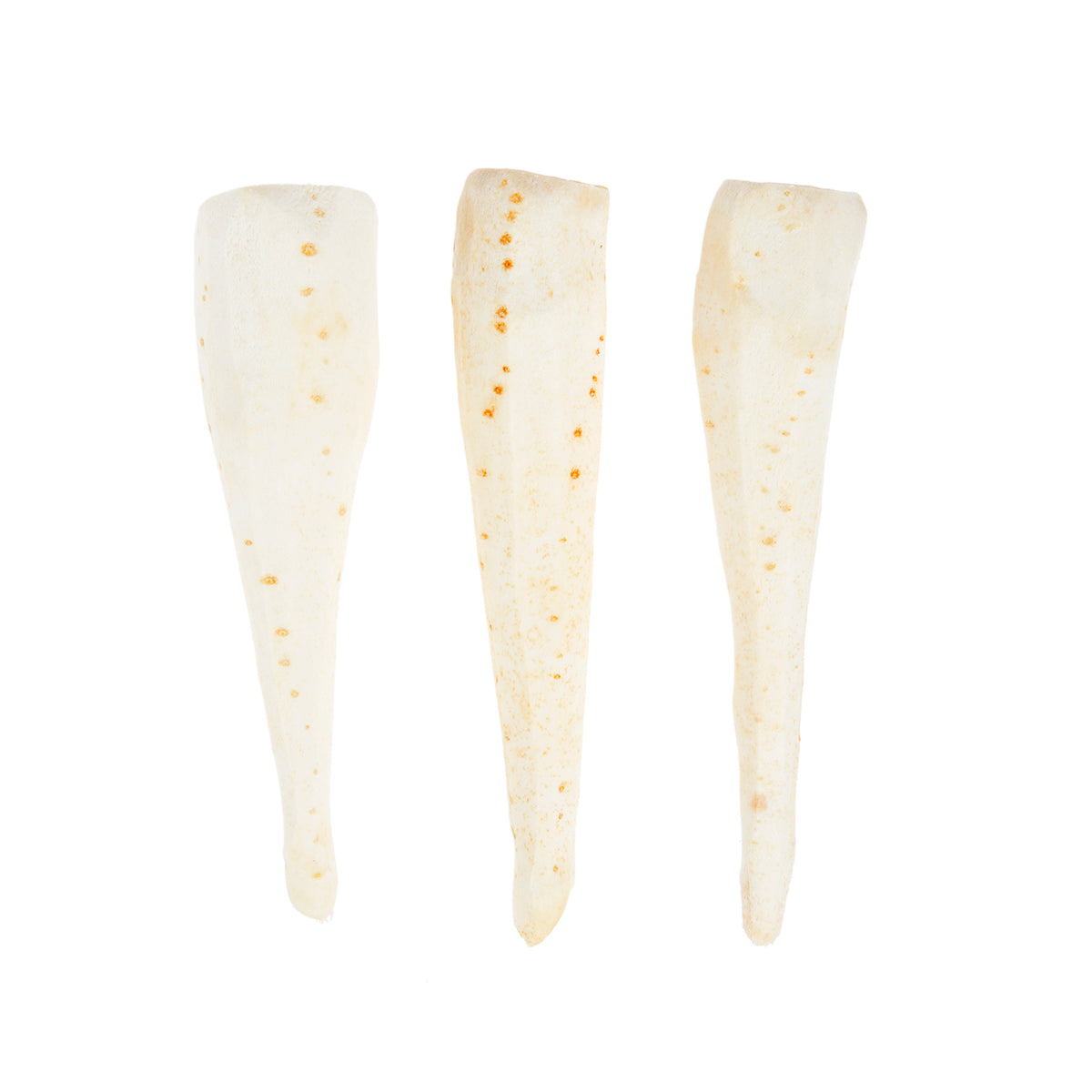 Peeled Whole Parsnips