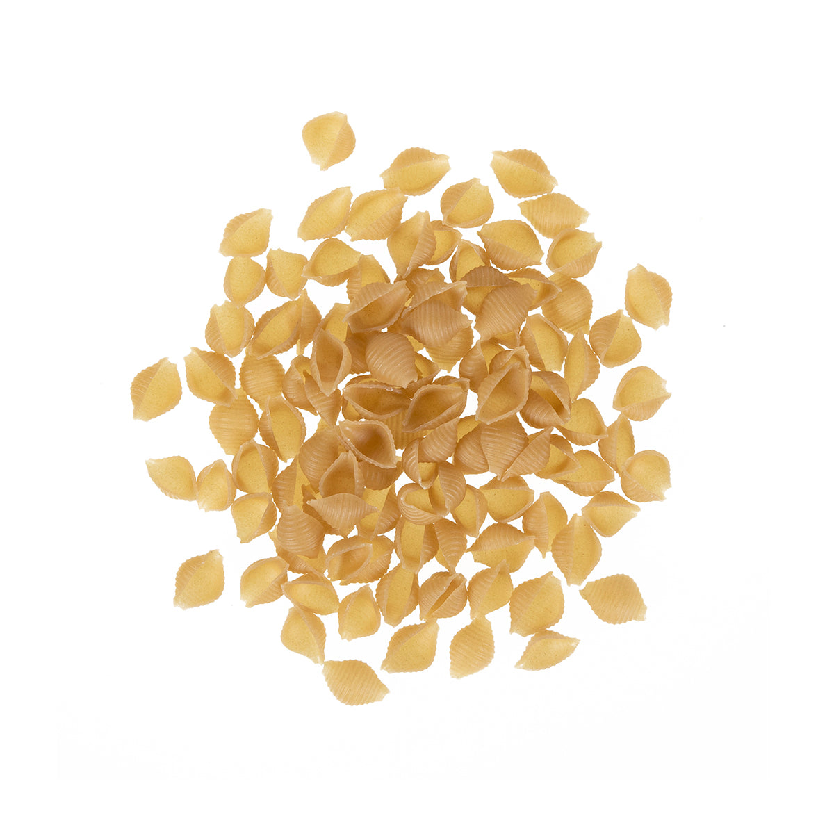 Gluten Free Organic Brown Rice Pasta Shells