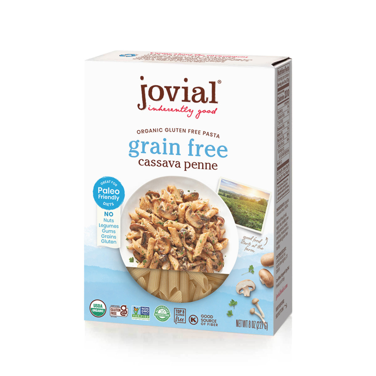 Organic Gluten Free Cassava Penne Rigate Pasta