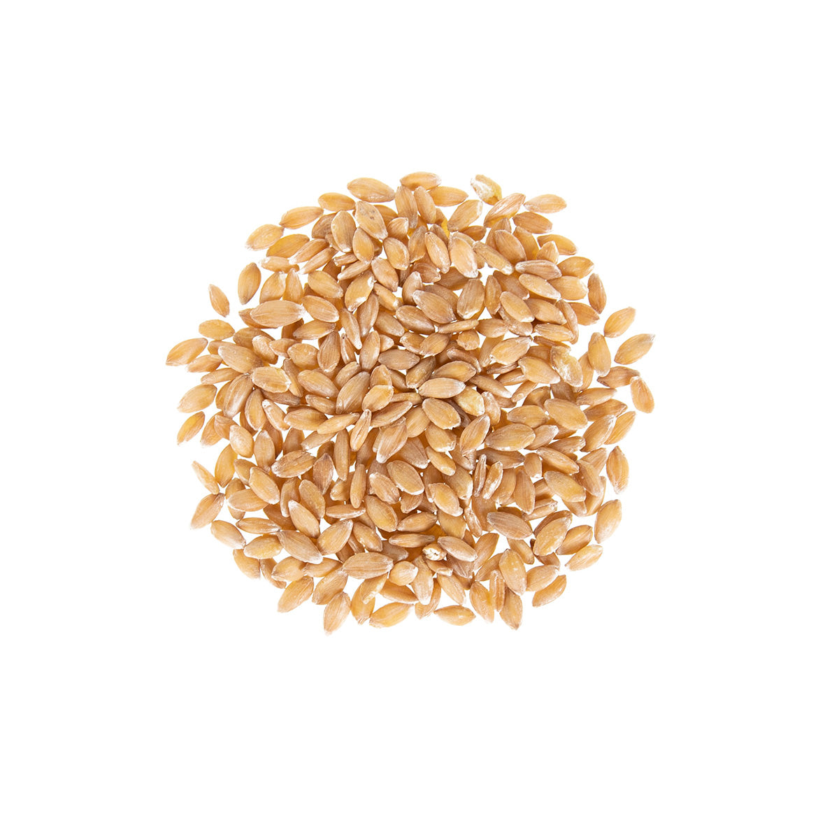 Organic Einkorn Wheatberries