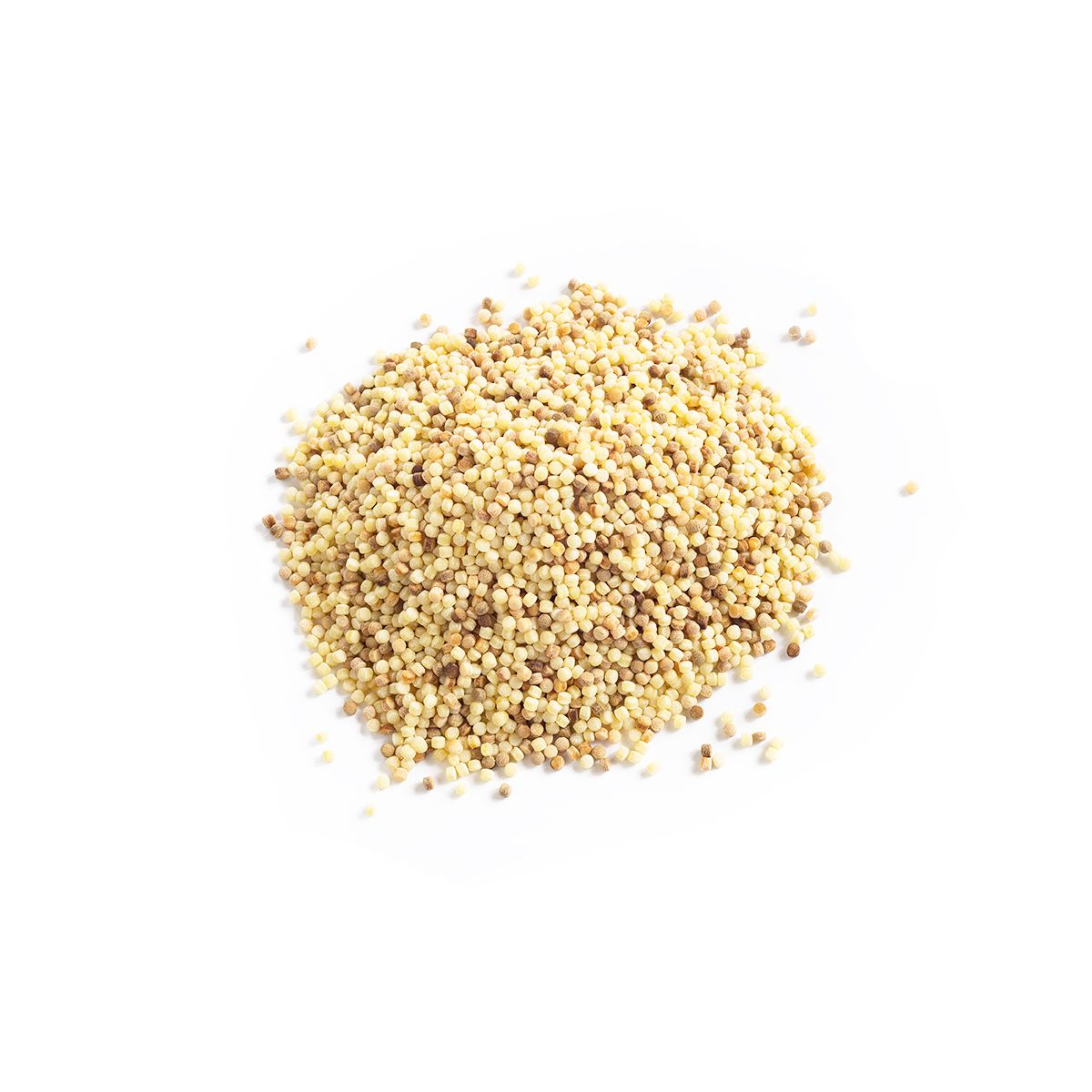 Medium Fregola