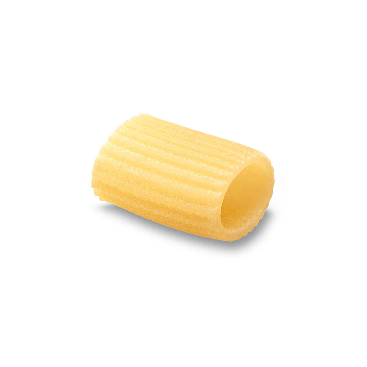 Mezzi Rigatoni Pasta