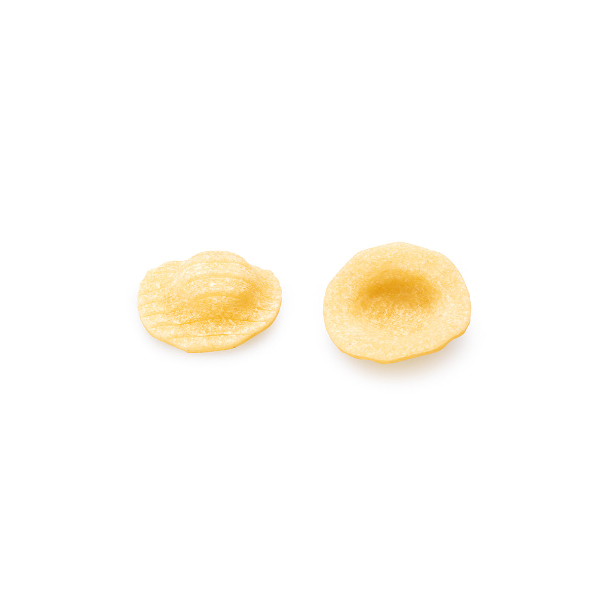 Orecchiette Pasta