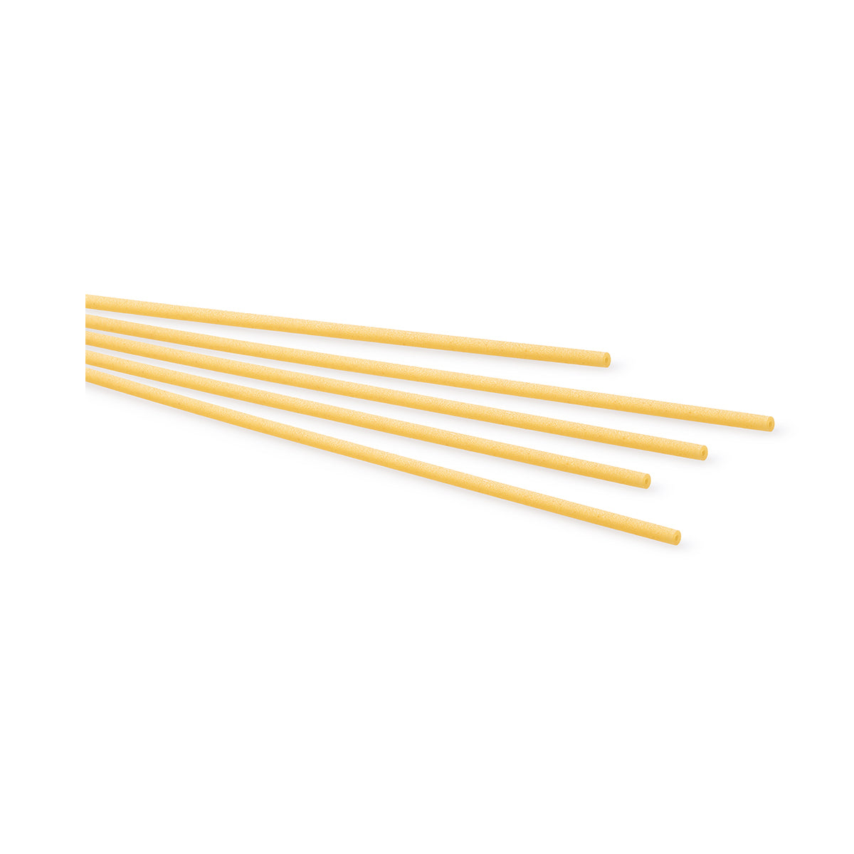 Bucatini Pasta