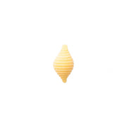 Fresh Conchiglie Pasta