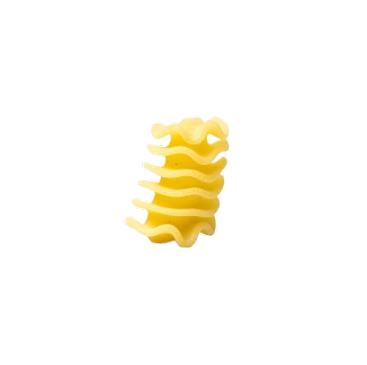 Fresh Radiatori Pasta