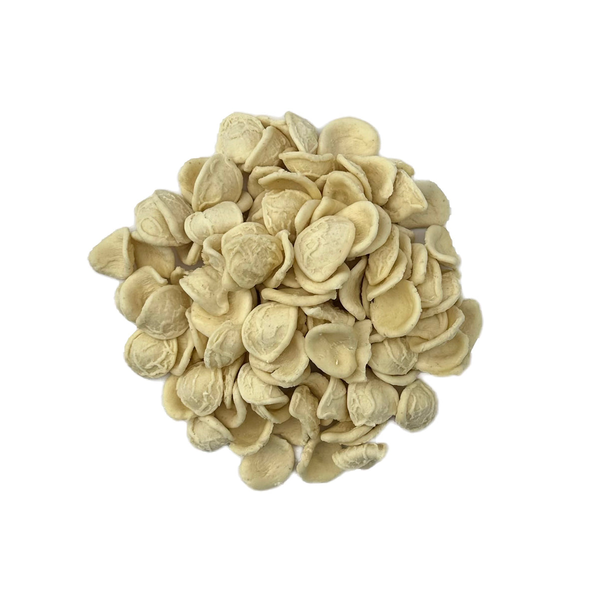 Fresh Orecchiette Pasta