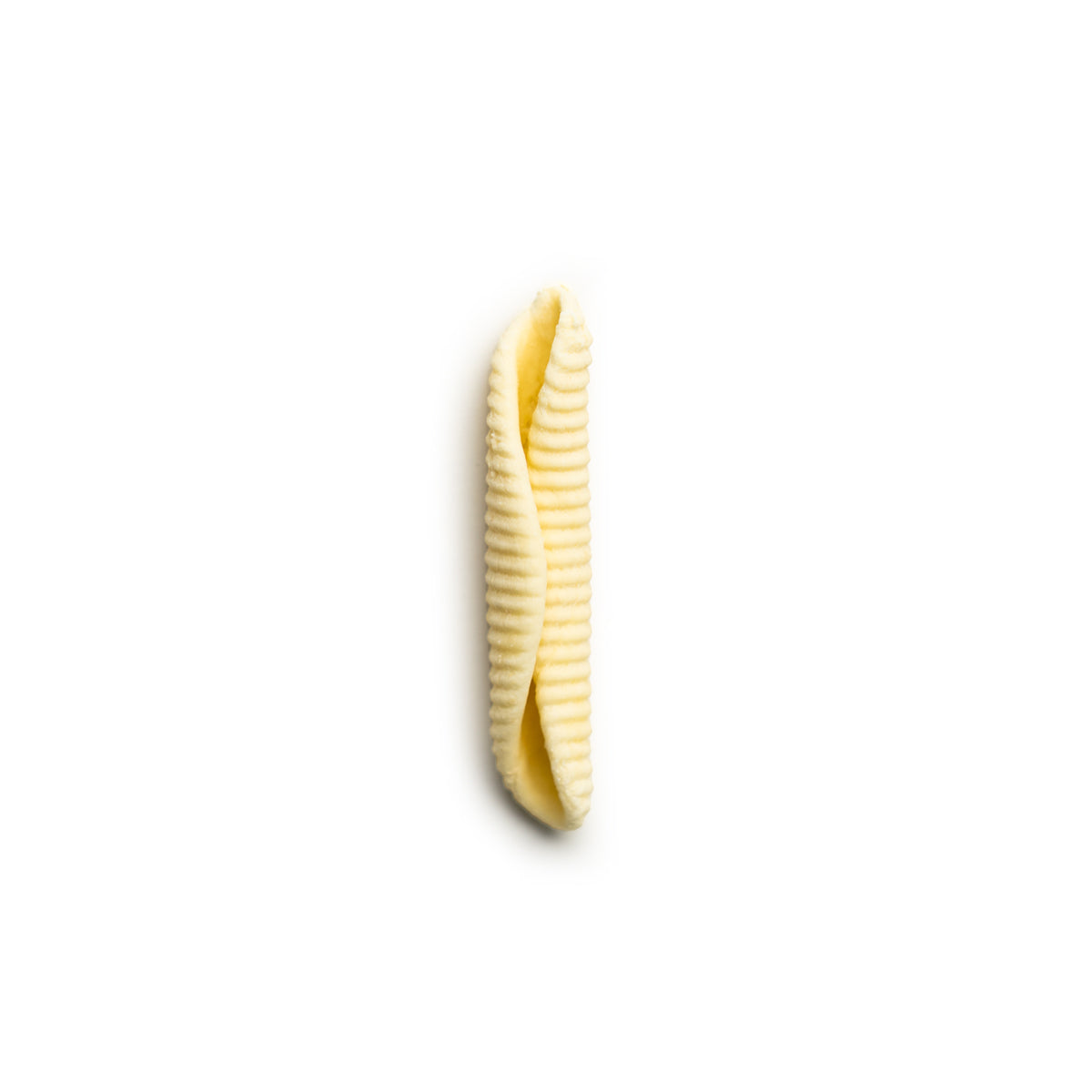 Fresh Maccheroni Al Pettine Pasta