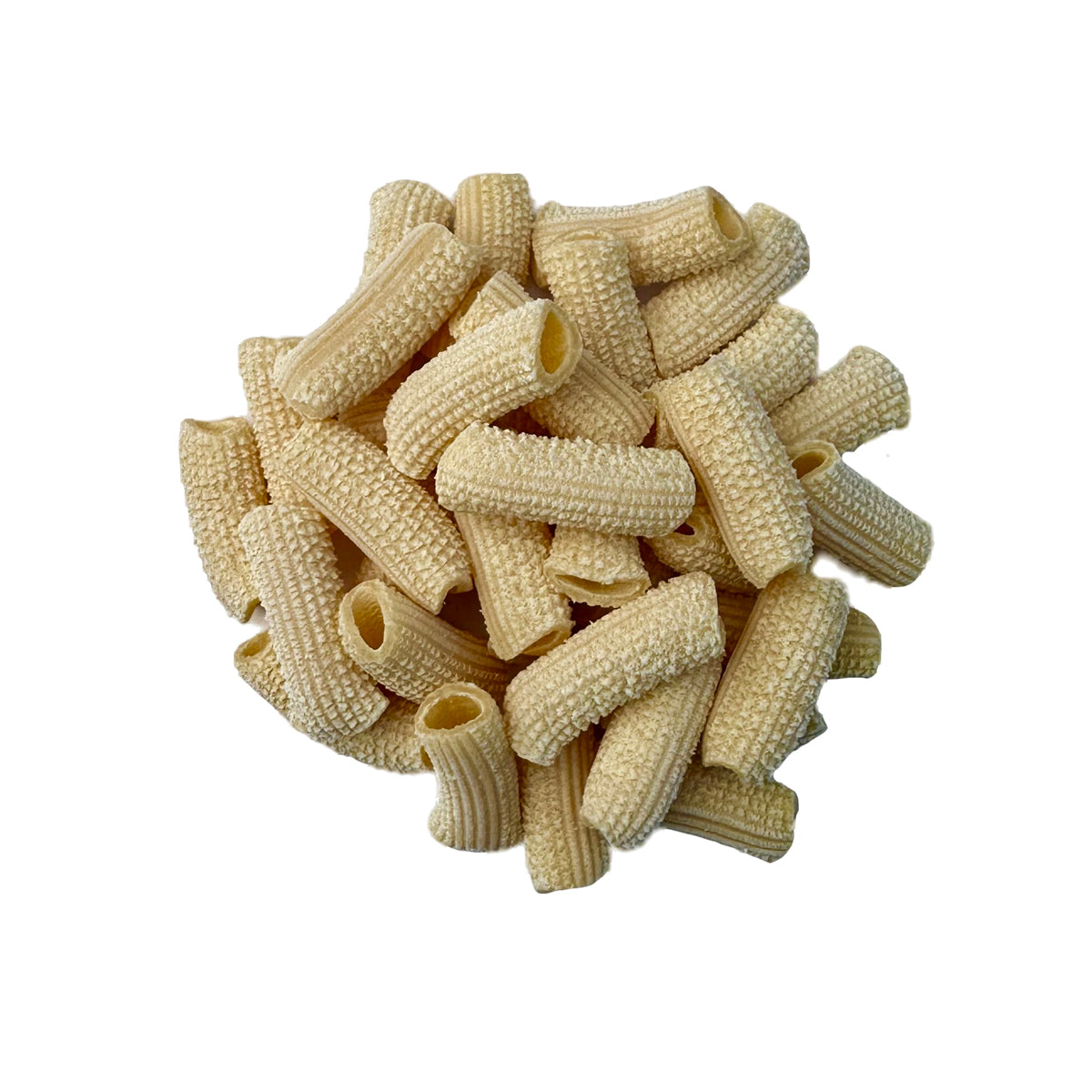 Fresh Rigatoni Pasta