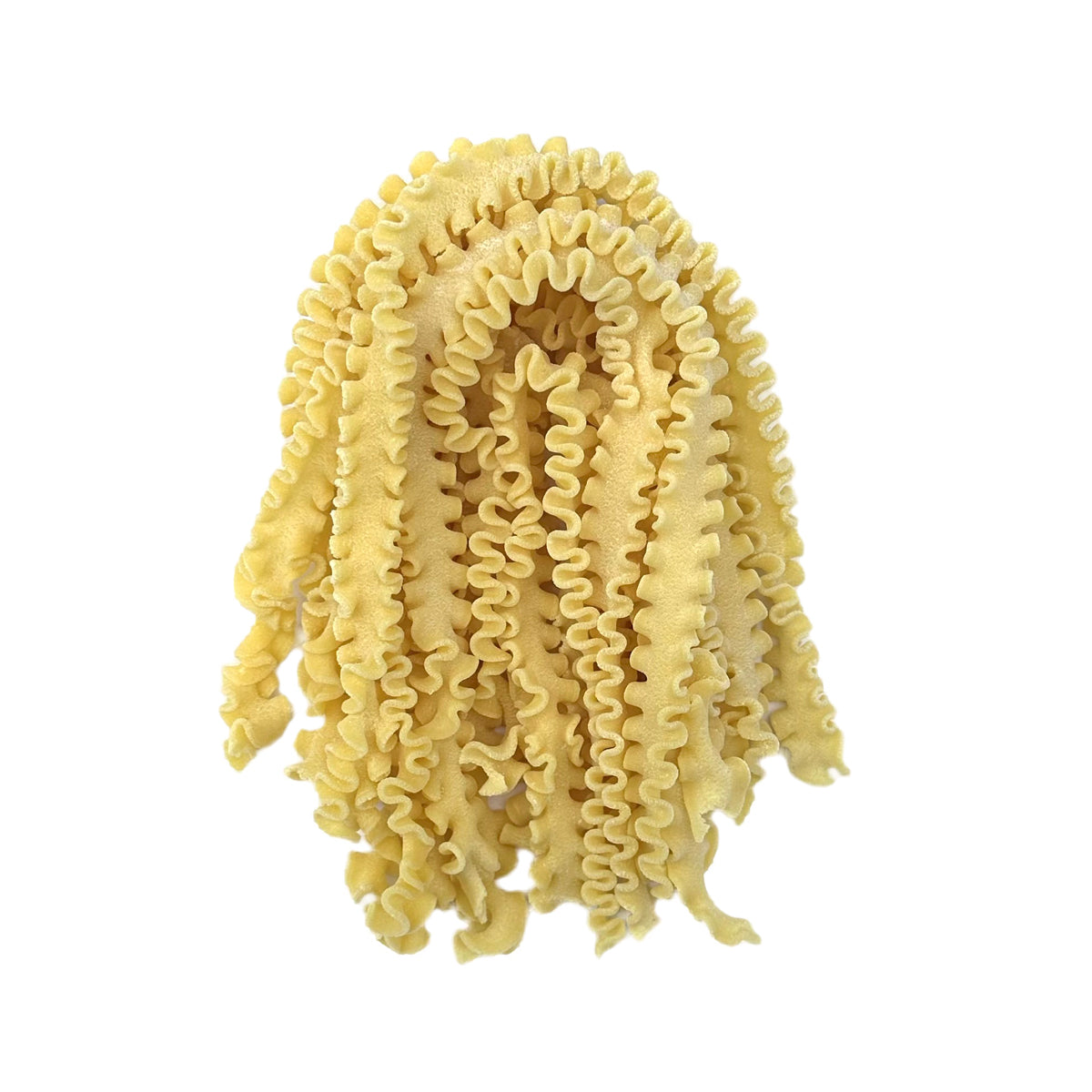 Fresh Mafalde Pasta