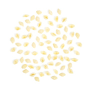Organic Semolina Small Shells Pasta