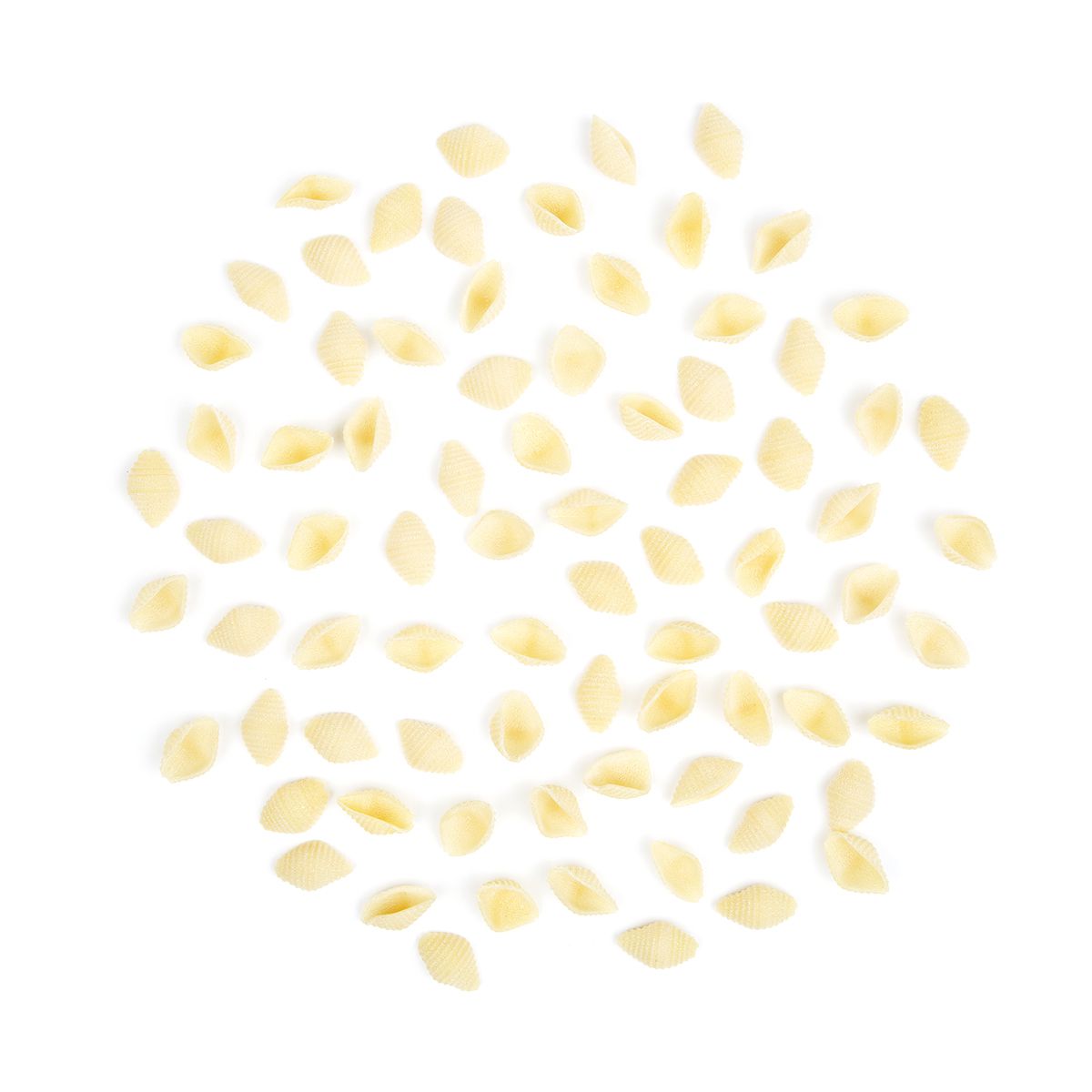 Organic Semolina Small Shells Pasta