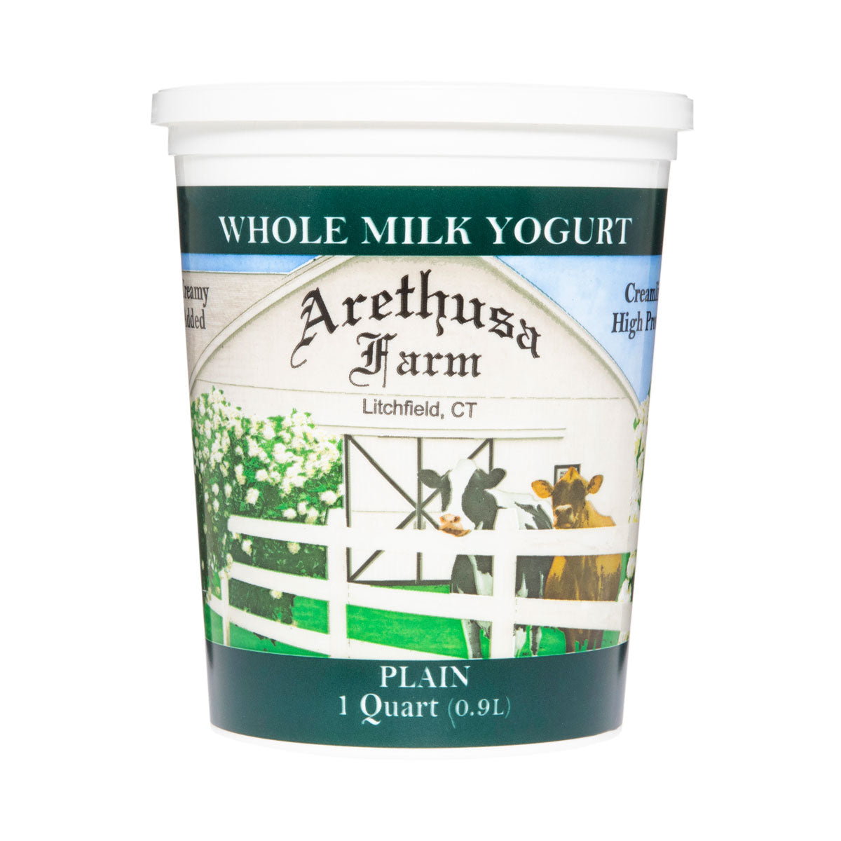 Plain Yogurt