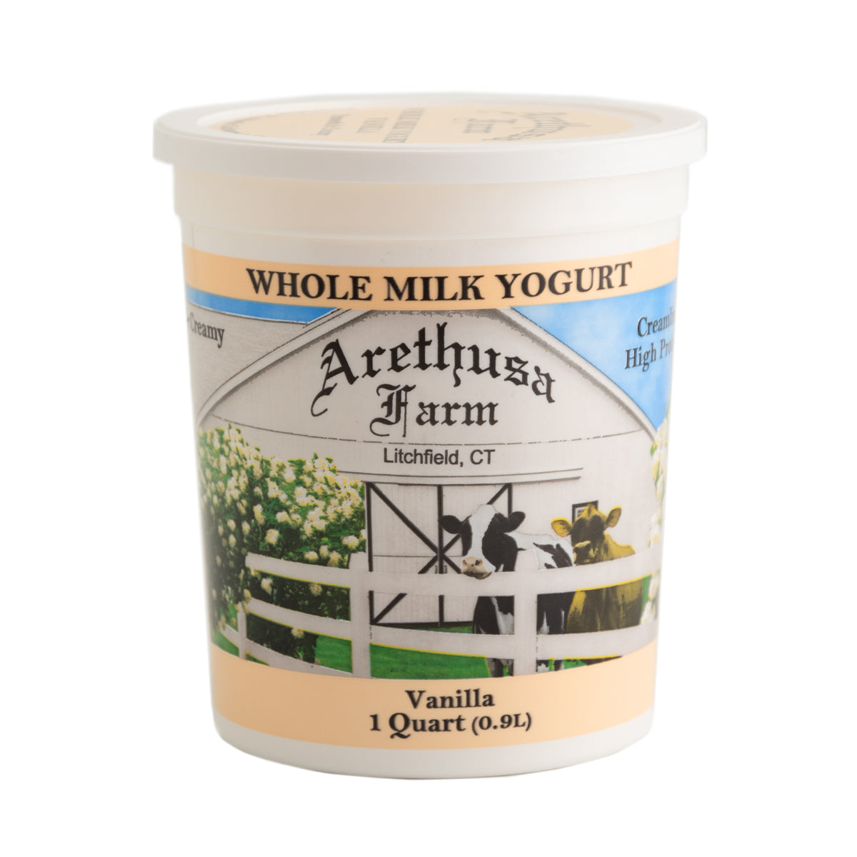 Vanilla Yogurt