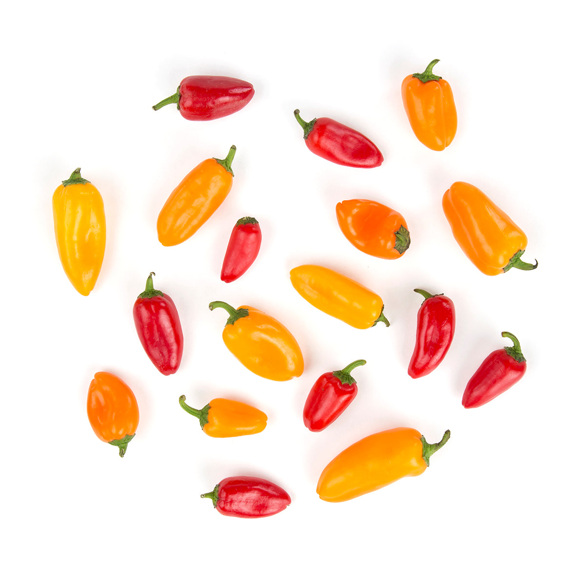 Organic Sweet Pepper Medley