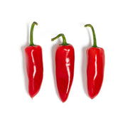 Red Jalapeno Peppers