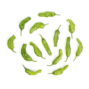 Organic Shishito Peppers