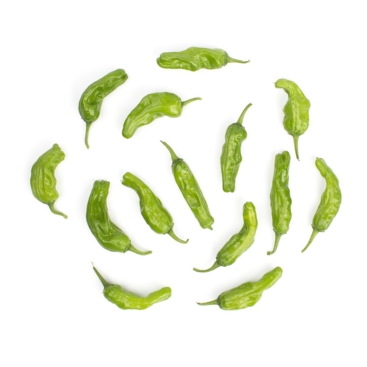 Organic Shishito Peppers