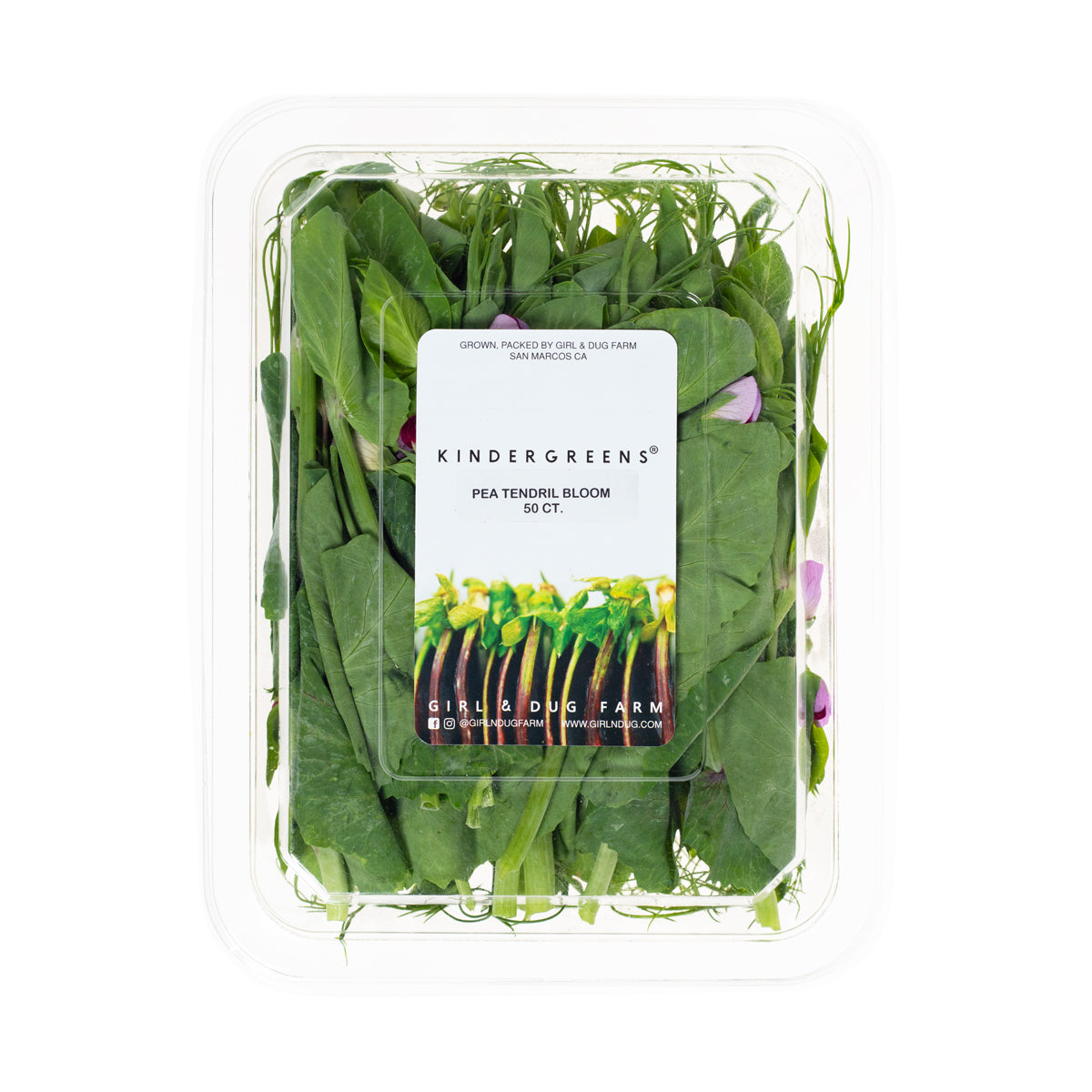 Pea Tendril Blossoms