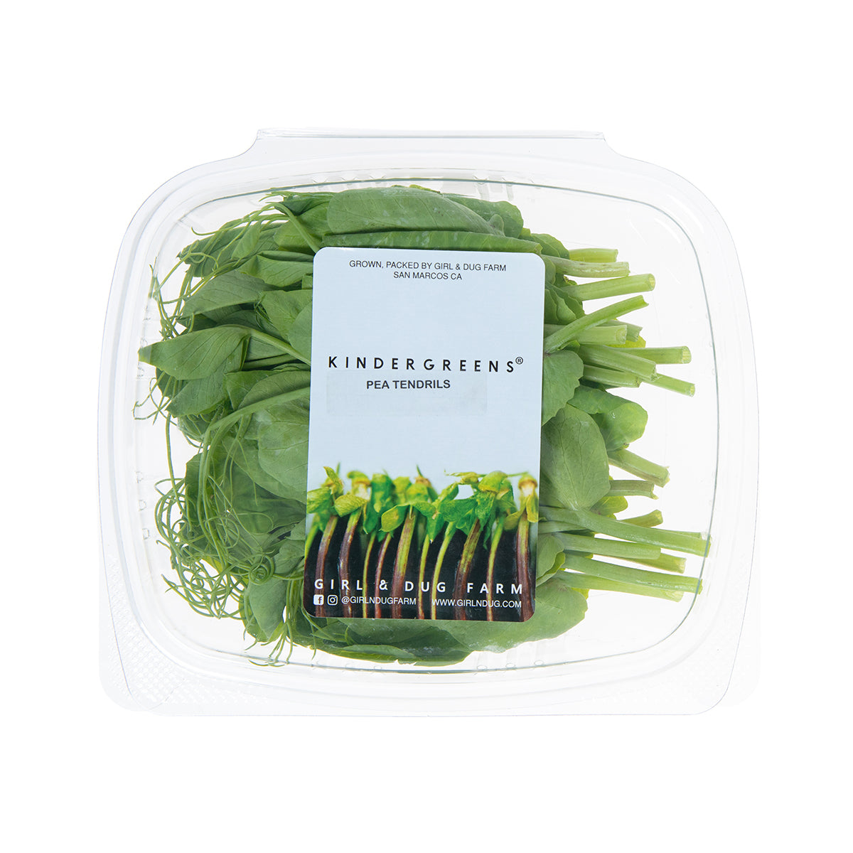 Pea Tendrils