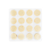 2in Mini Vanilla Bean Cheesecakes