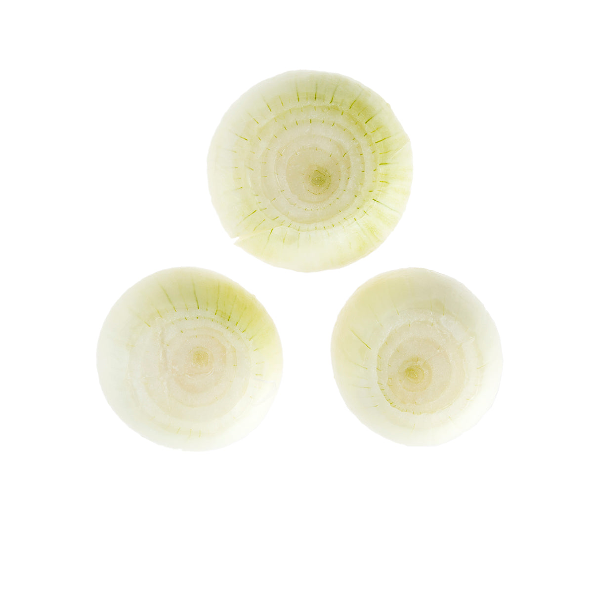 Peeled Spanish Onions