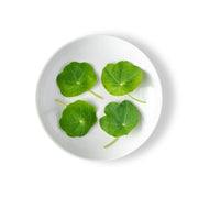Petite Nasturtium Leaves