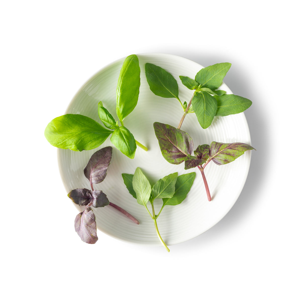 Petite Basil Mix