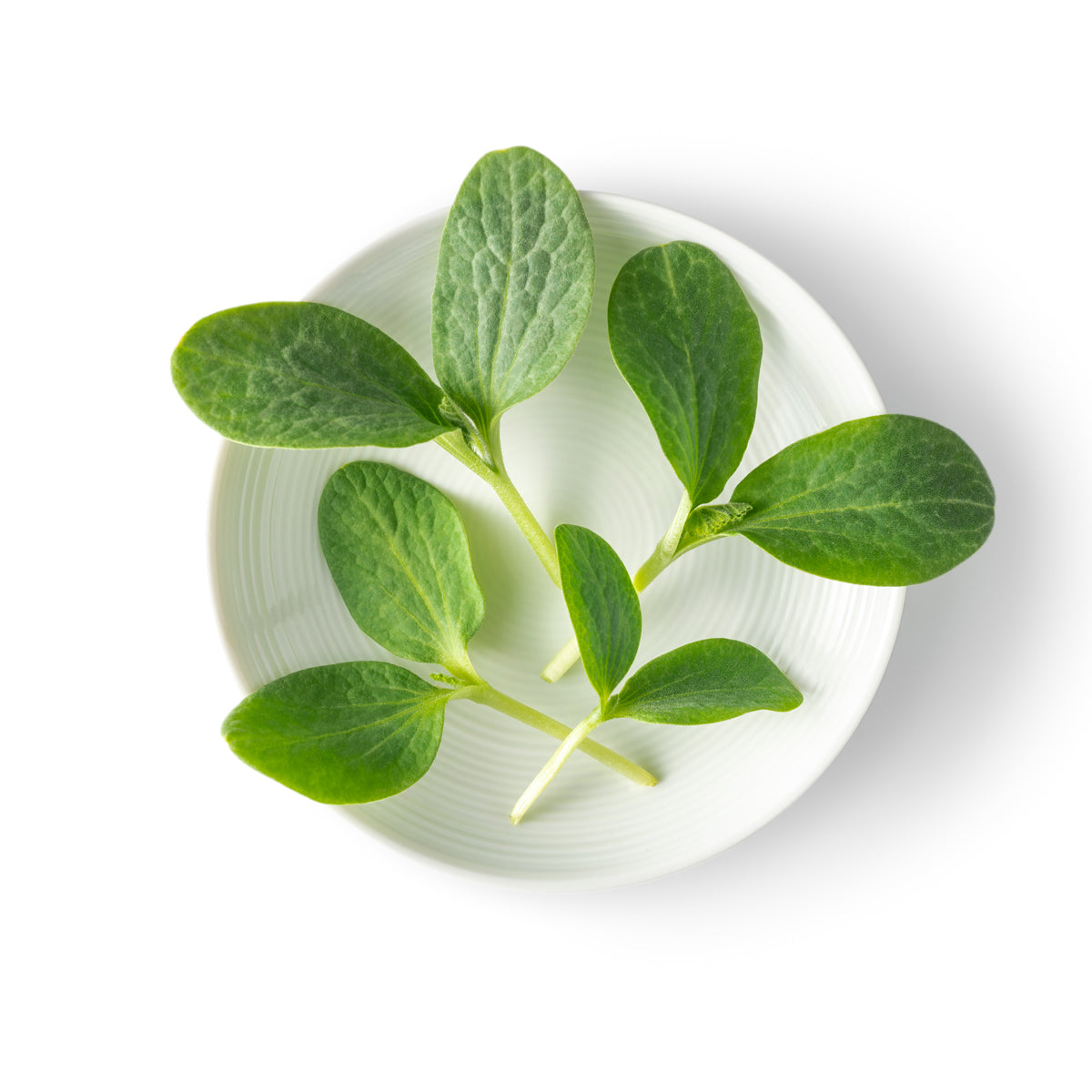 Petite Pumpkin Greens