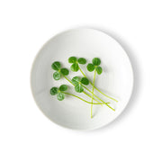 Petite Sorrel Green Apple