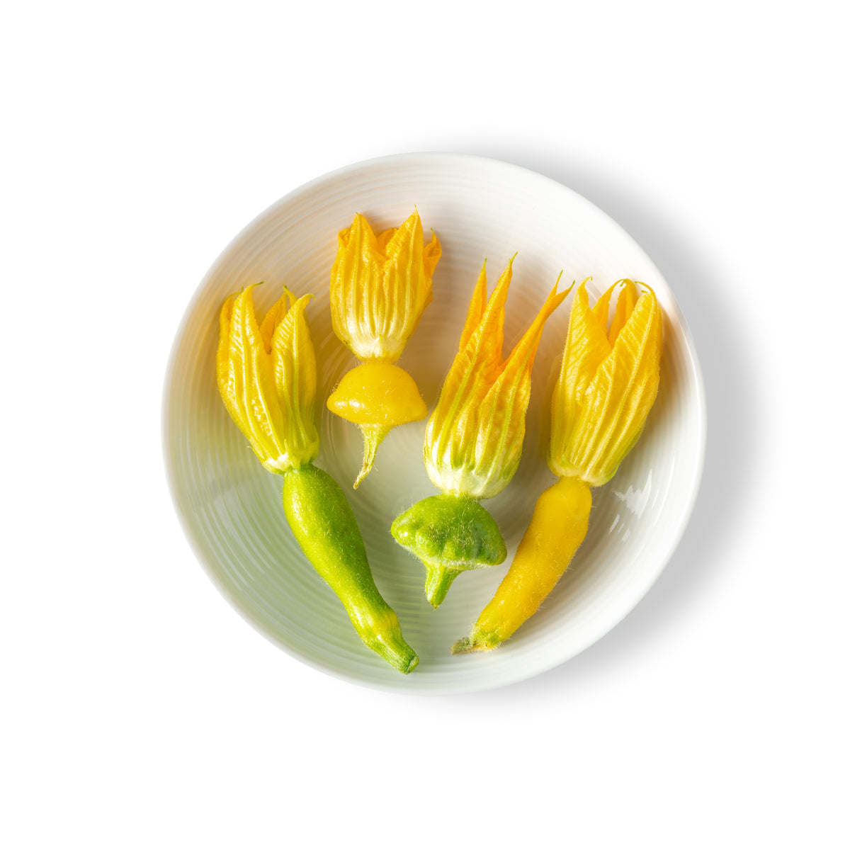 Tiny Veggies Squash