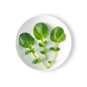 Petite Green Watercress