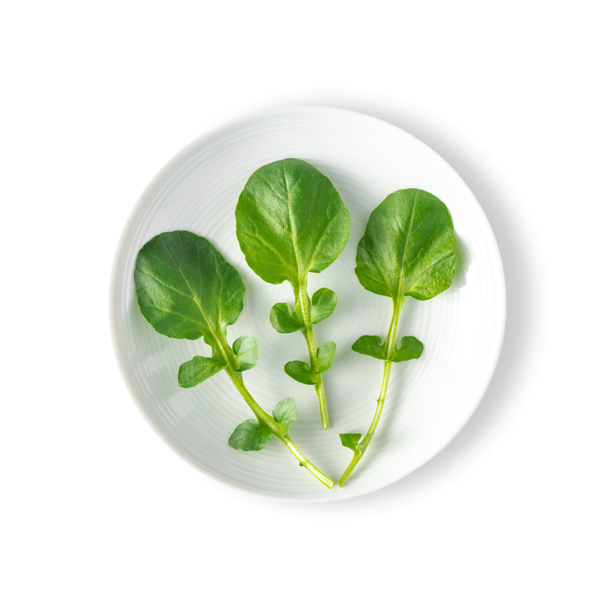 Petite Green Watercress