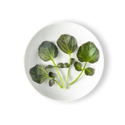 Petite Red Watercress
