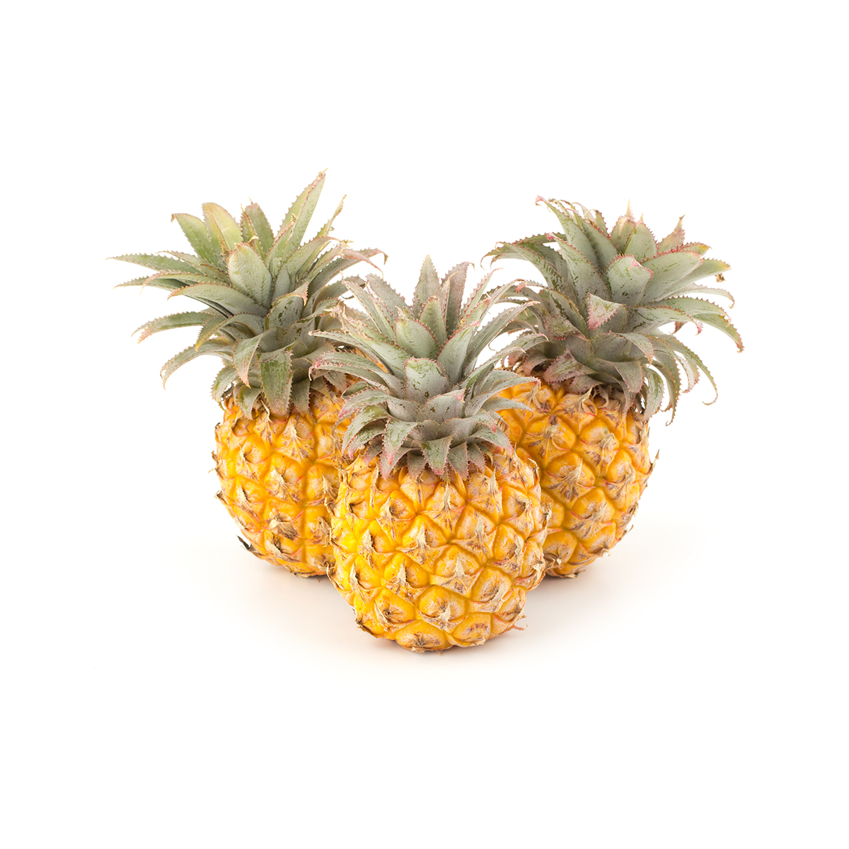 Baby Pineapples